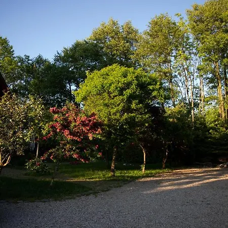 Dom Majowka I Apartamenty Bartoszowka I Michalowka Karwienskie Bloto Drugie Exterior photo