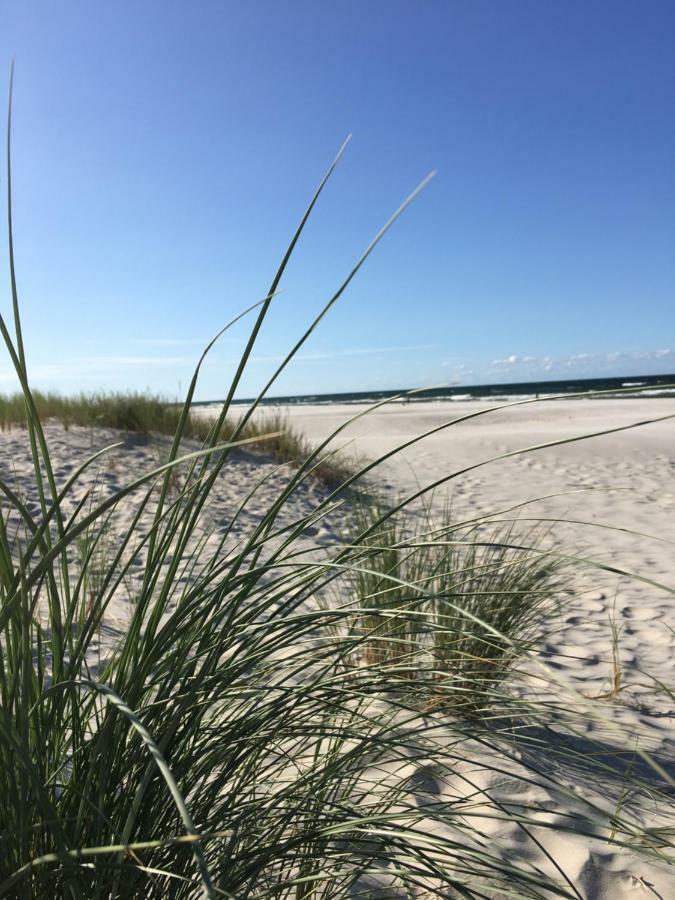 Dom Majówka I Bartoszówka I Michałówka Сasa de vacaciones *